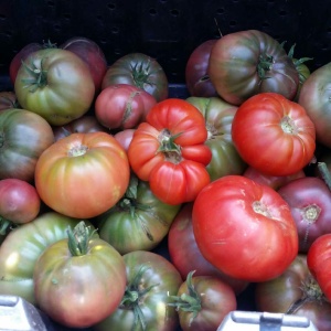 Heirloom Tomatoes